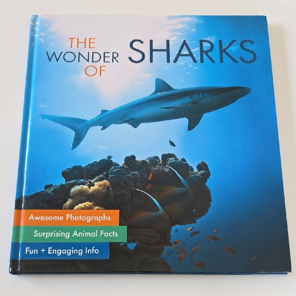 Children's Shark and Pirate Book Set Bundle - Picture 2 of 16